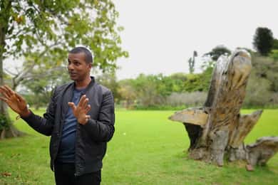 Durban: Interactive Sightseeing Tour with Locals
