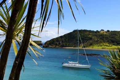 Baía das Ilhas: Excursão à vela de um dia fantástico com paragem nas ilhas