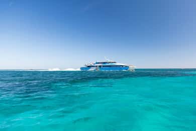 From Perth or Fremantle: Rottnest Island Seafood Cruise