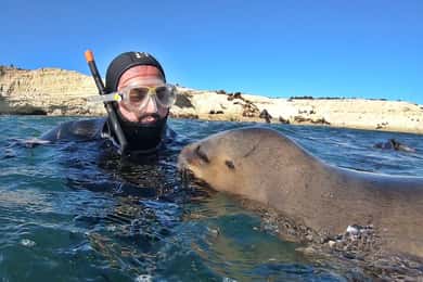 Puerto Madryn: Snorkeling Trip with Sea Lions