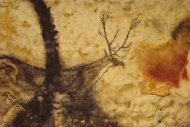 From Bordeaux: Lascaux and Dordogne Valley Private Tour