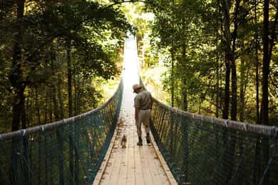 Foxfire Mountain: escursione e avventura in famiglia sul ponte girevole
