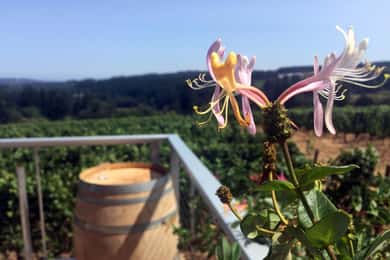 From Portland: Willamette Valley Character Wineries
