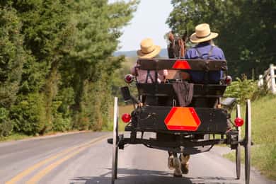 Lancaster County: Amish Farmlands, Museum Tour, Farm Visit