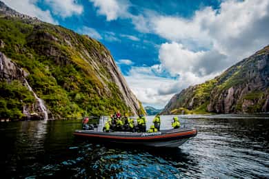 Fra Svolvær: Havørnsafari til Trollfjord