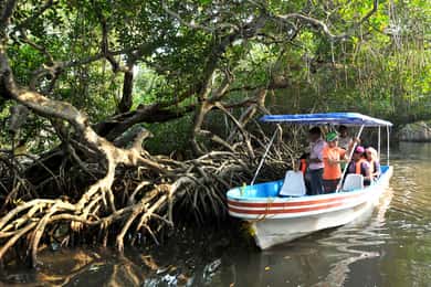 Van Veracruz: Natuur & Zeevruchten Rondvaart naar Madinga