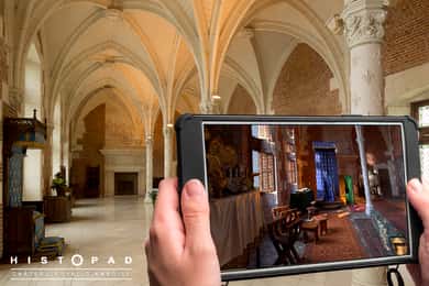 Loire-völgy: Château Royal d'Amboise Belépőjegy