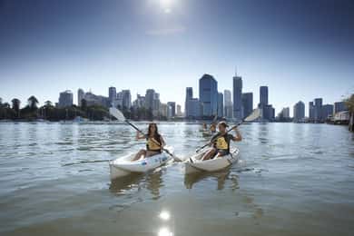 Brisbane: 2-Hour Kayak Hire on Brisbane River