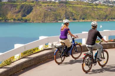 Wellington: Electric Bike Rental