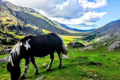 From Manchester: North Wales Sightseeing Adventure Day Trip