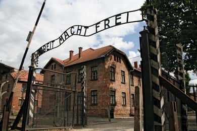 Från Katowice: Auschwitz-Birkenau Hoppa över kön guidad tur