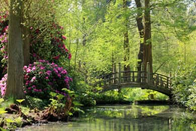 Winterbourne House and Garden Toegangsticket