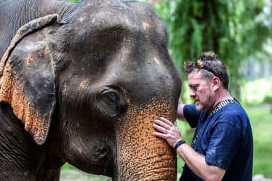 Ko Lanta Yai: Half-Day Ethical Elephant Sanctuary Tour