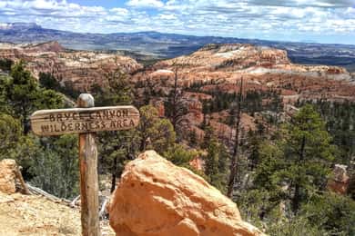 Bryce: Guided Sightseeing Tour of Bryce Canyon National Park