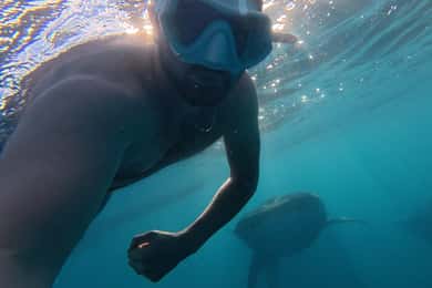 Cebu:Oslob WhaleSharkWatching,Kawasan Canyoneering