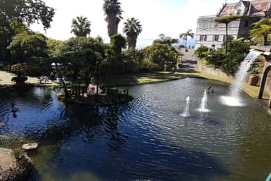 Madeira: excursão guiada privada de meio dia aos jardins