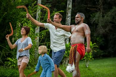 Day Trip: Rainforest & Aboriginal Culture Tour