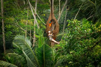 Ubud: Półdniowa przygoda z tyrolką i huśtawką w dżungli