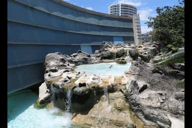 Aquarium of the Lagoon & Hop-On Hop-Off Bus