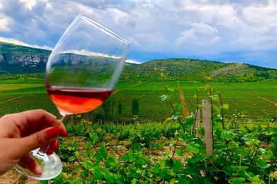 Von Skopje aus: Private Tour durch das Weingut Sopot mit Mittagessen