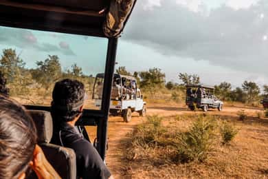 Udawalawa nationalpark: Privat safari