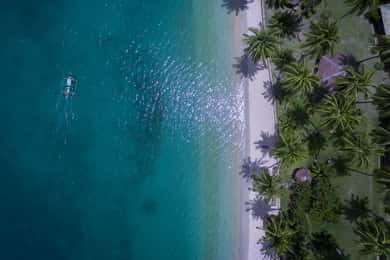 Port Barton: Island Hopping to Turtle Spot & Reef with Lunch