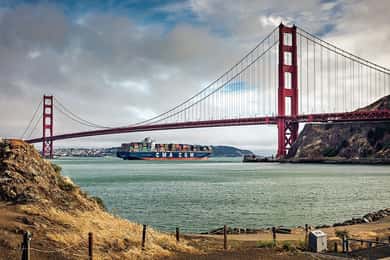 San Francisco: City Tour with Muir Woods and Sausalito