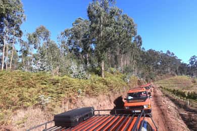 Funchal: Câmara Lobos & Girão Sea Cliff Half-Day Jeep Tour