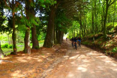 Parque Nacional da Peneda Gerês: Tour guiado em bicicleta eléctrica