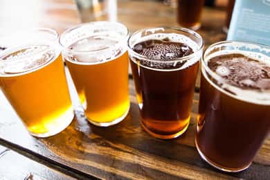 Tallinn : Dégustation de bières artisanales estoniennes