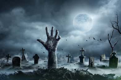 New Orleans: tour in autobus del cimitero notturno e dei fantasmi BYOB