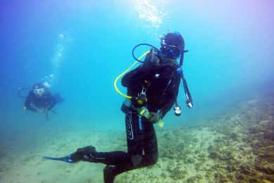 Gold Coast: 3-Day PADI Open Water Course