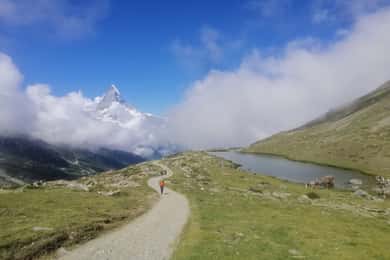 Zermatt: Wandeling met gids van een hele dag