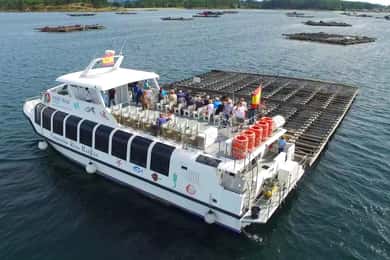 From Santiago: Tour to Rias Baixas with Boat Trip and Winery