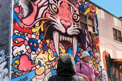 Montreal: piesza wycieczka z przewodnikiem po muralach w Montrealu