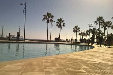 From Paphos: Limassol Experience