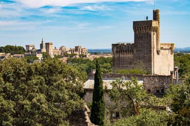 Avignon: Privat tur til fods - Oplev historie og kulturarv
