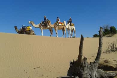 Essaouira : 3 heures de randonnée à dos de dromadaire et nuit sous tente berbère