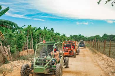 Punta Cana: Saona Island and Buggy Combo