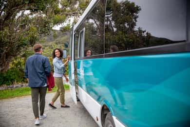 Stewart Island: Village and Bays Tour
