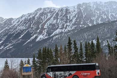 Skagway: Klondike Highway & Yukon Bus Tour with Husky Kennel