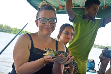 Bentota: River Boat Safari