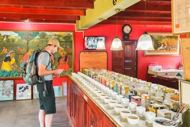 Från Colombo: Handungoda, Galle, Ahangama och Kosgoda Tour