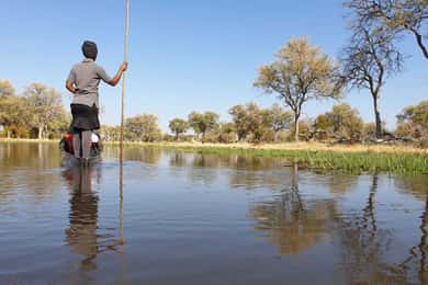 Maun: Okavango Delta Mokoro Tour and Bush Walk