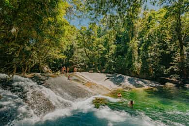 Desde Cairns: excursión Waterfall Wanderers con almuerzo.