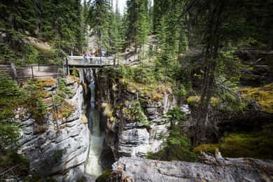 Jasper: Sightseeing Tour with Maligne Lake Cruise