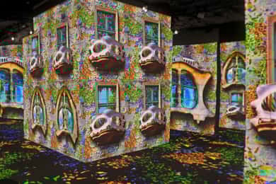 De Avignon: excursão de meio dia Van Gogh e Carrières de Lumières