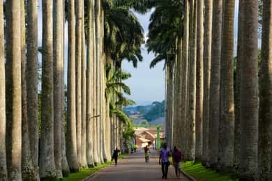 Accra: Aburi Botanical Gardens, Cocoa Farms, Waterfalls Trip