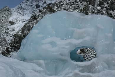 Greymouth: Glacier, Heritage & Wildlife Centre Guided Tour