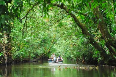 San José Tortuguero Park Dagsutflykt med frukost och lunch